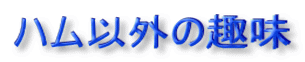ハム以外の趣味